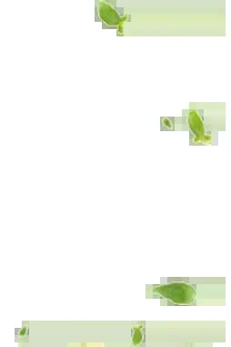 leaf-1