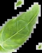 leaf-3