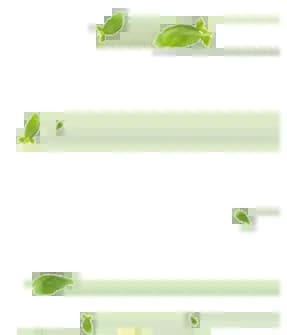 leaf-4